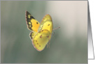 Spiritual Transition Butterfly Sympathy Condolence Card