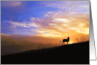 Sympathy Condolences Horse in Sunset card