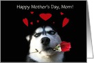 Cute Dog and Flower Happy Mother’s Day Customizable card