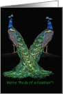 Happy National Siblings Day Two Peacocks Customizeable card