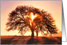Earth Day Oak Tree and Heart card