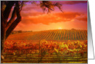 Wine Vineyard Happy Birthday card