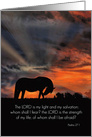 Beautiful Horse in the Sunrise Religious Encouragement card