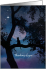 Thinking of you Cat in Tree and Moon card