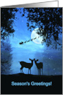 Cute Deer Season’s Greetings Beauty of the Season card