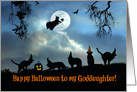 Happy Halloween To Goddaughter Fun Witch and Black Cats in Hats card