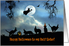 Happy Halloween To Half Sister Fun Witch and Black Cats in Hats card