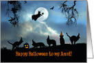 Happy Halloween To Aunt Fun Witch and Black Cats in Hats card