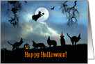 Happy Halloween Fun Cats and Witch card