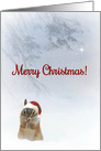 Darling Little Critter Merry Christmas Blessings card