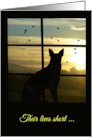 Loss of Dog Sympathy, Dog Memorial card