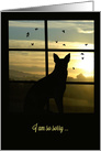 Sympathy Dog in Window at Sunset card