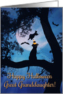 Happy Halloween Cat, Witch, Bats and Spiders For Great Granddaughter card
