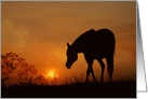 Horse and Sunrise Happy Birthday Beautiful Day card