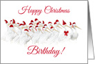 Happy Christmas Birthday White Pelican with Party Hat card