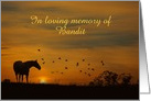 Horse Sympathy Customize with Name card
