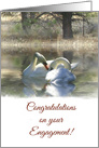 Congratulations Engagement Beautiful Swans card