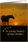 Deepest Sympathy for the Loss of Brother, Horse and Birds in Sunset card