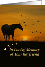 Deepest Sympathy for the Loss of Boyfriend, Horse and Birds in Sunset card