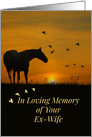 Sympathy for Loss of Ex Wife, Horse, Nature and Birds in Sunset card