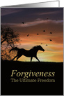 Forgiveness, I am Sorry, Horse and Sunset card