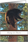 Hang In There Bear In Tree Encouragement card