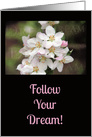 Dream, Follow your Dreams Beautiful Floral Encouragement card