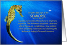 The Celtic Zodiac Sign of the Seahorse Gemini Birthday card