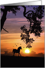 Pretty Thinking of You Horse Sunset and Oak Tree with Birds card