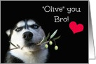 Happy Birthday Bro, Cute and Funny with Dog and Olive Branch card