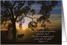 Horse and Oak Tree Spiritual Psalms 27:1 card