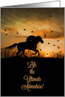Happy Birthday Life is an Adventure Horse and Rider card