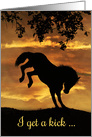 I get a Kick out of our Friendship, Horse Kicking it in the Sunrise card