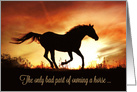 Beautiful Horse in the Sunrise Horse Sympathy, Saying Goodbye card