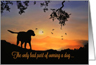 Dog in the Sunrise Dog Sympathy, Saying Goodbye card