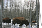 Native American Winter Solstice Blessings with Buffalo in the Snow card