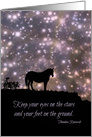 Follow Your Dreams, Famous Quote,Theodore Roosevelt, Horse and Stars card