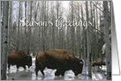 Native American Buffalo and Snow Season’s Greetings card