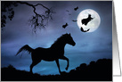 Happy Halloween Horse and Witch Spooky card