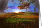 Beautiful Wine Vineyard Happy Thanksgiving Bountiful Fall Colors card