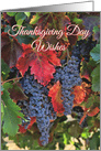 Wine Vineyard Grapes Autumn Colors Thanksgiving Day card