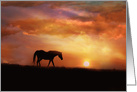 With Deepest Sympathy Horse and Sunset Nature Condolences card