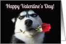 Cute and Fun Dog and Flower Happy Valentine’s Day card