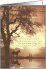 Spiritual Sympathy Condolences with Horse Oak Tree Sepia Colors card