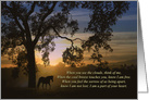 Sympathy Card for Suicide, Horse and Oak Tree, Spiritual Poem card