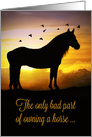 Horse Sympathy, Loss of Horse, Condolences. Horse Veterinarian card