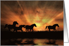 Beautiful Horses Blank Inside Herd of Wild Horses at Sunset, Water card