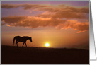 Horse Blank Inside, Horse Notecards, Fine Art Photography, Horse Fine card