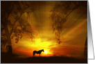 Horse Happy Birthday, Beautiful Day, Horse Bday, Pretty Horse, Equine card