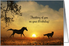 Happy Birthday From Across the Miles, Horse and Dog, Thinking of You card